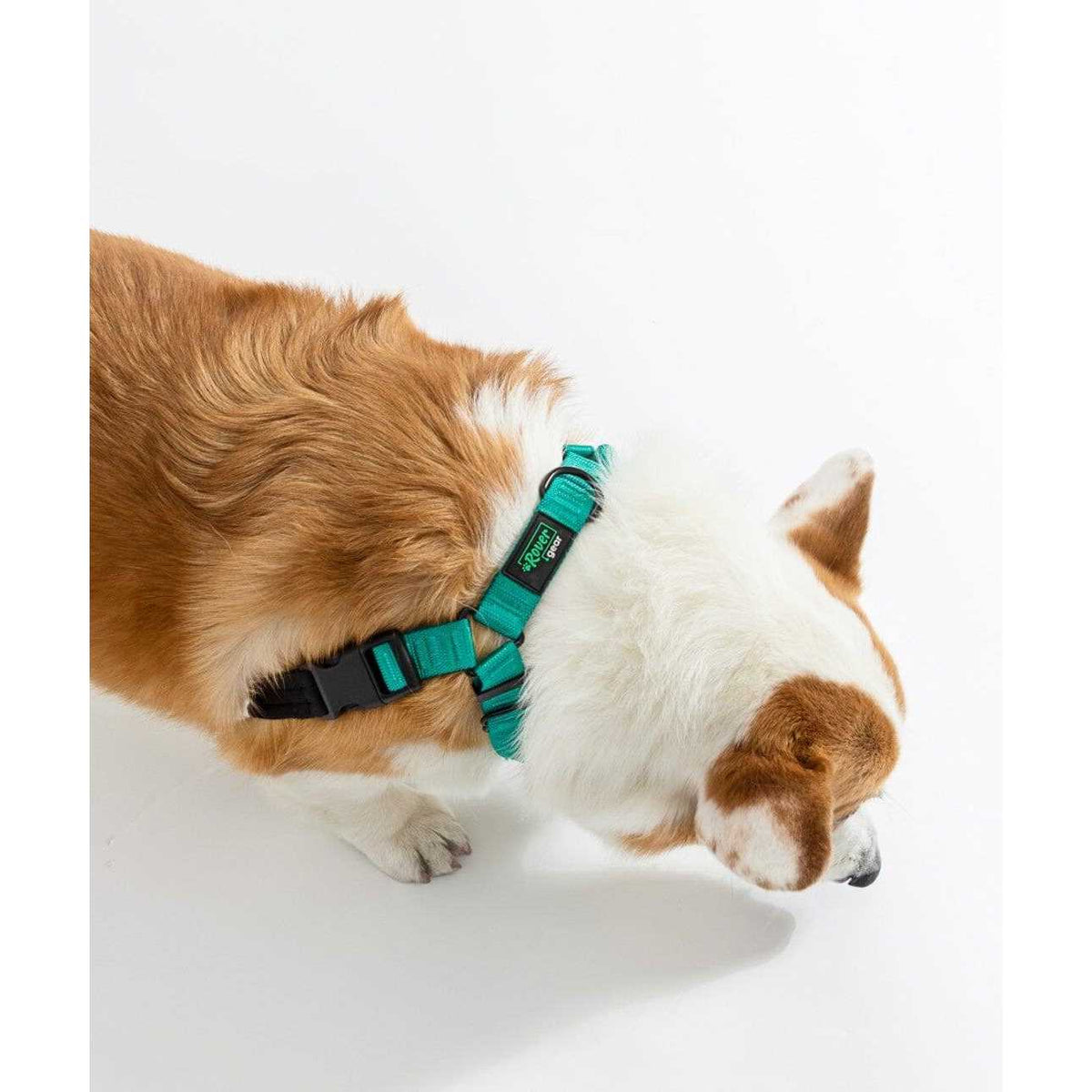 No-Pull Dog Harness D919