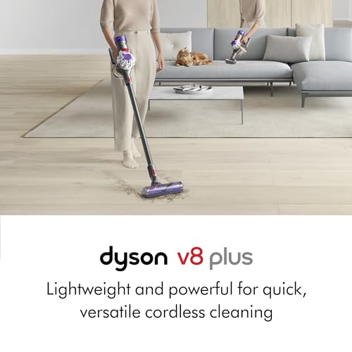 Cordless Vacuum Cleaner P47573