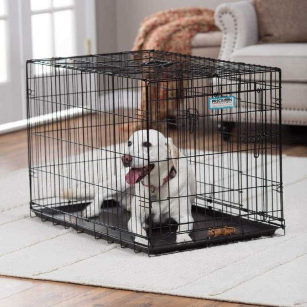 2-Door Pet Crate B8033