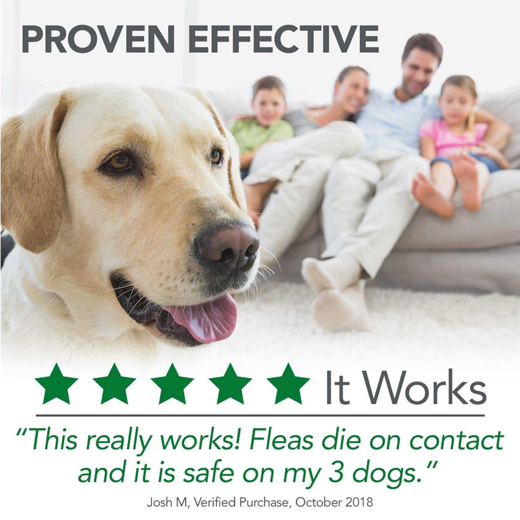 Flea Tick Home Spray Y840933