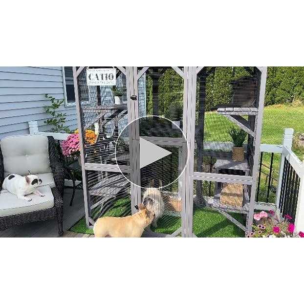 Large Cat House Outdoor Cat Enclosure M7313