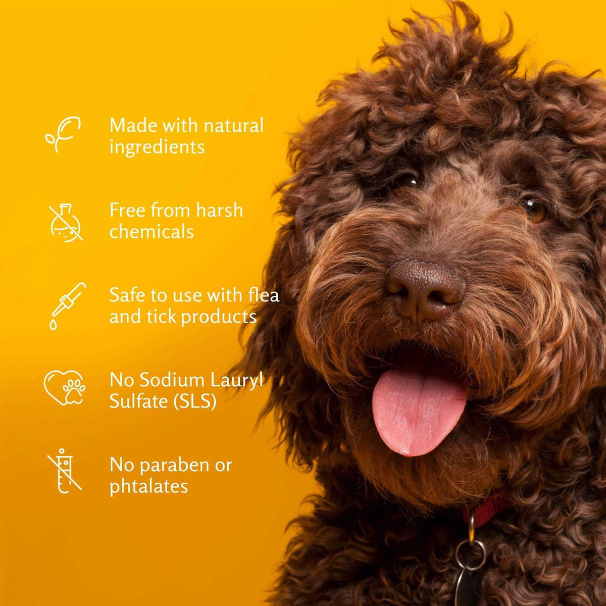 Deodorizing Spray for Dogs E2890