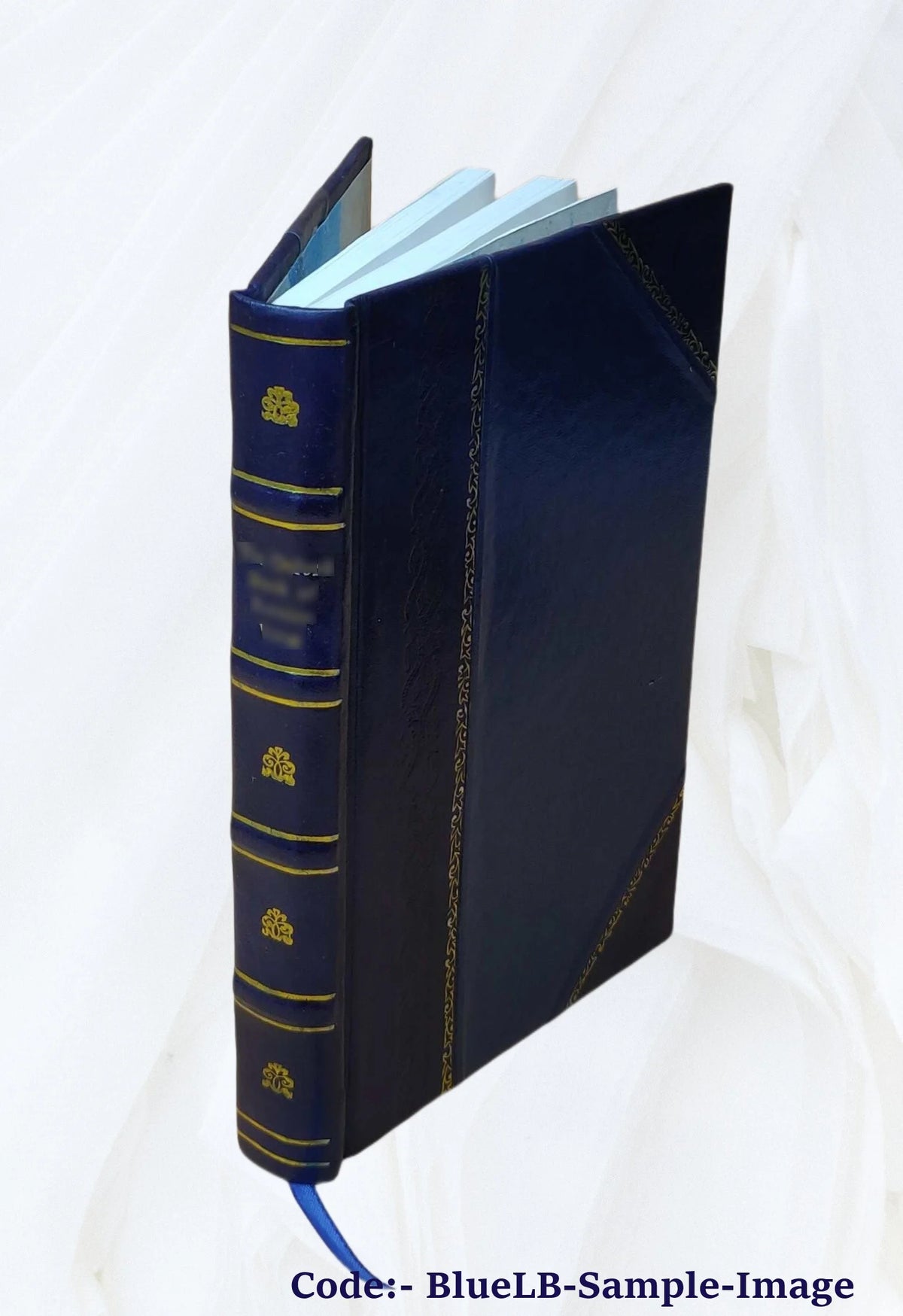 Leather Bound Book C613975