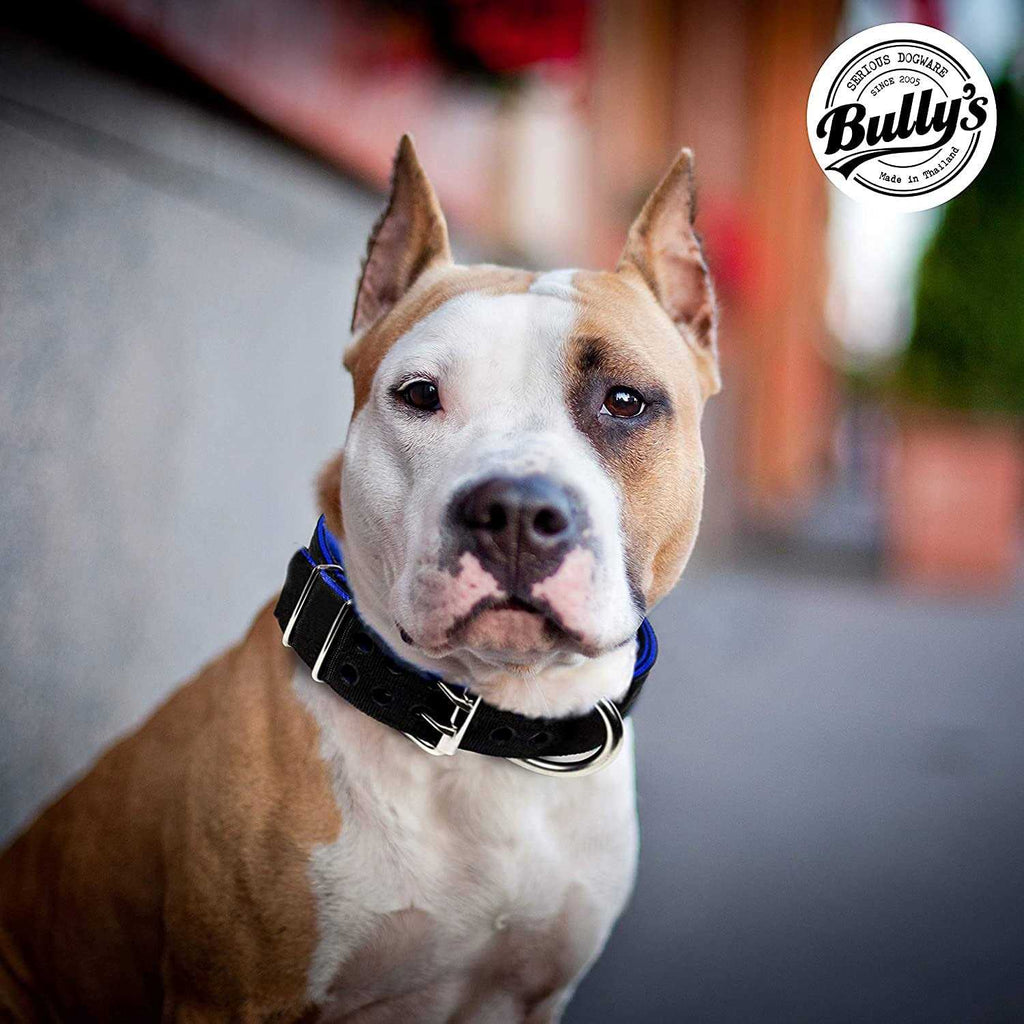 Dog Collar for Large Dogs I73216