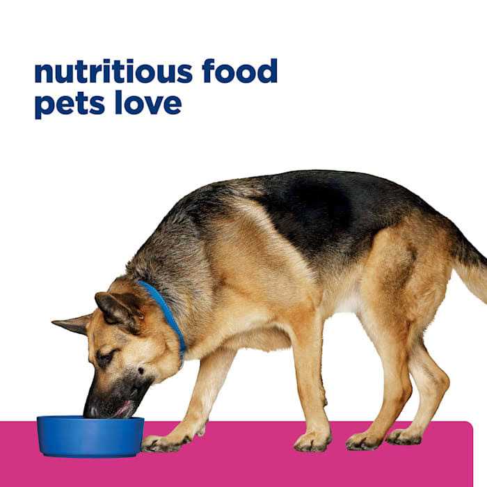 Chicken Dry Dog Food T462611