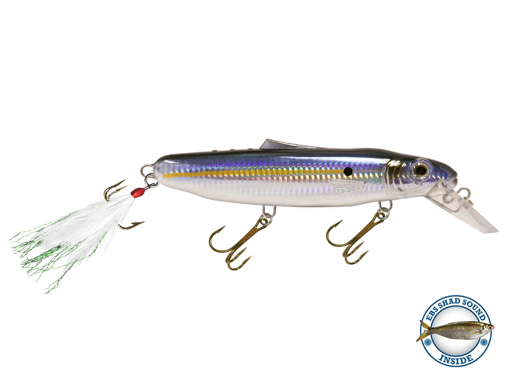 Striker 173 O8866