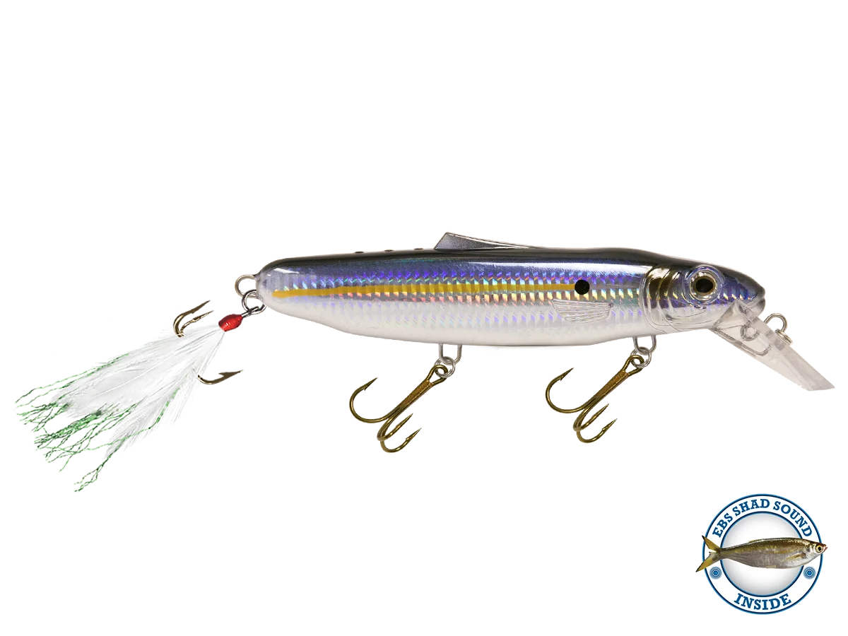 Striker 173 O8866