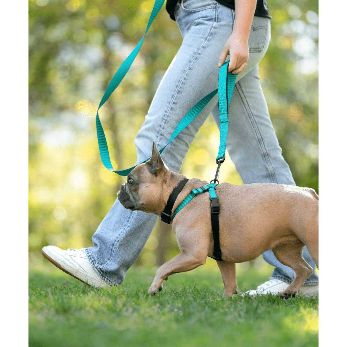 No-Pull Dog Harness D919