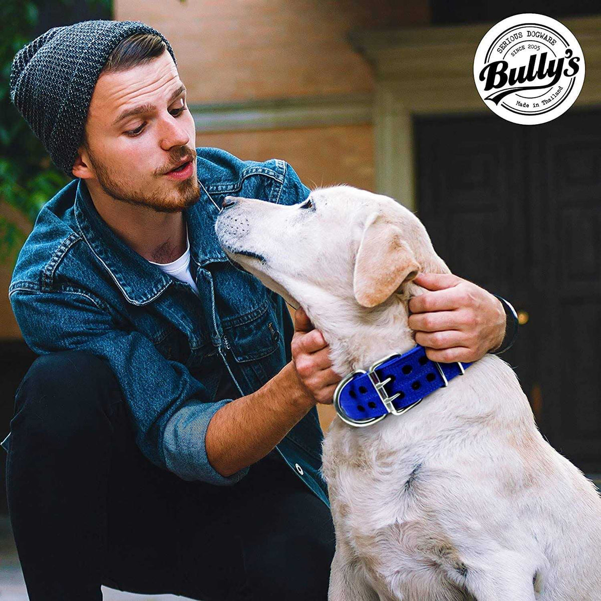 Dog Collar for Large Dogs I73216