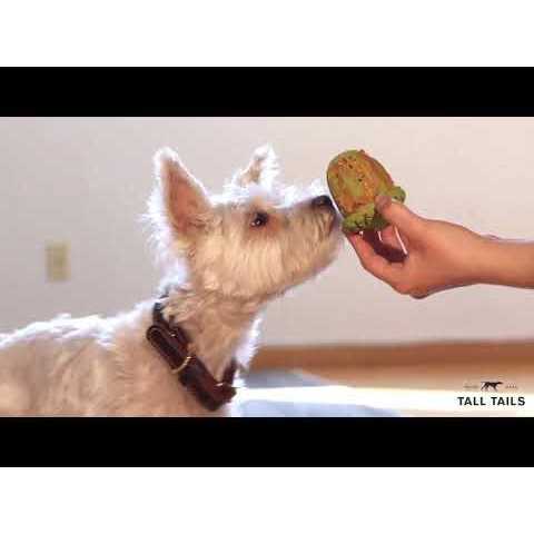 Dog Toy Natural Rubber Pinecone Y349539