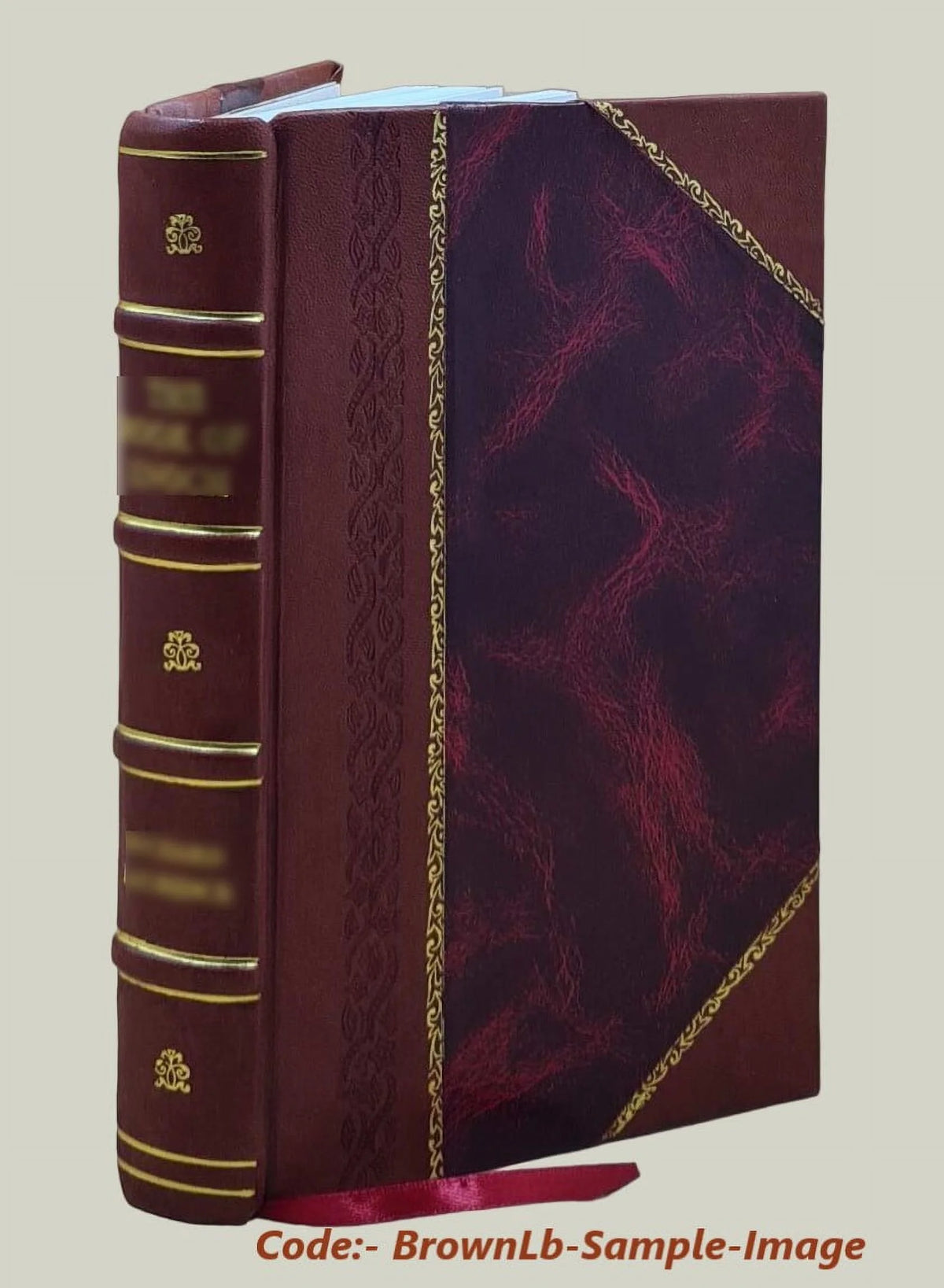 Statistics and Landeskunde Leather Bound I255