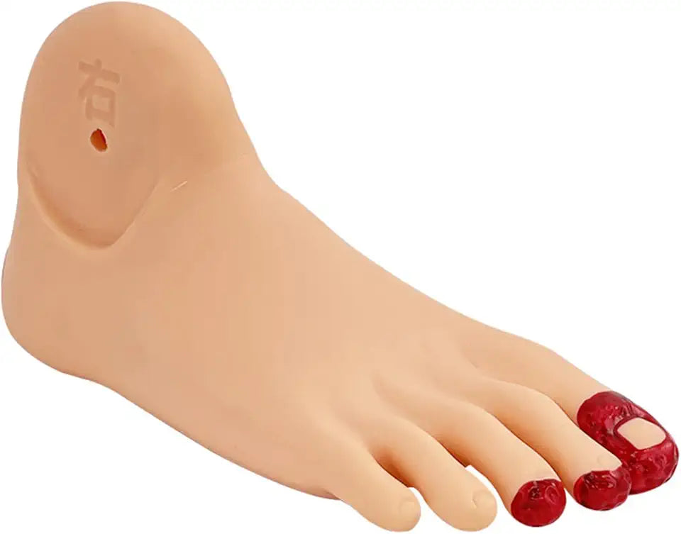 Diabetic Foot Care Training Model F71498