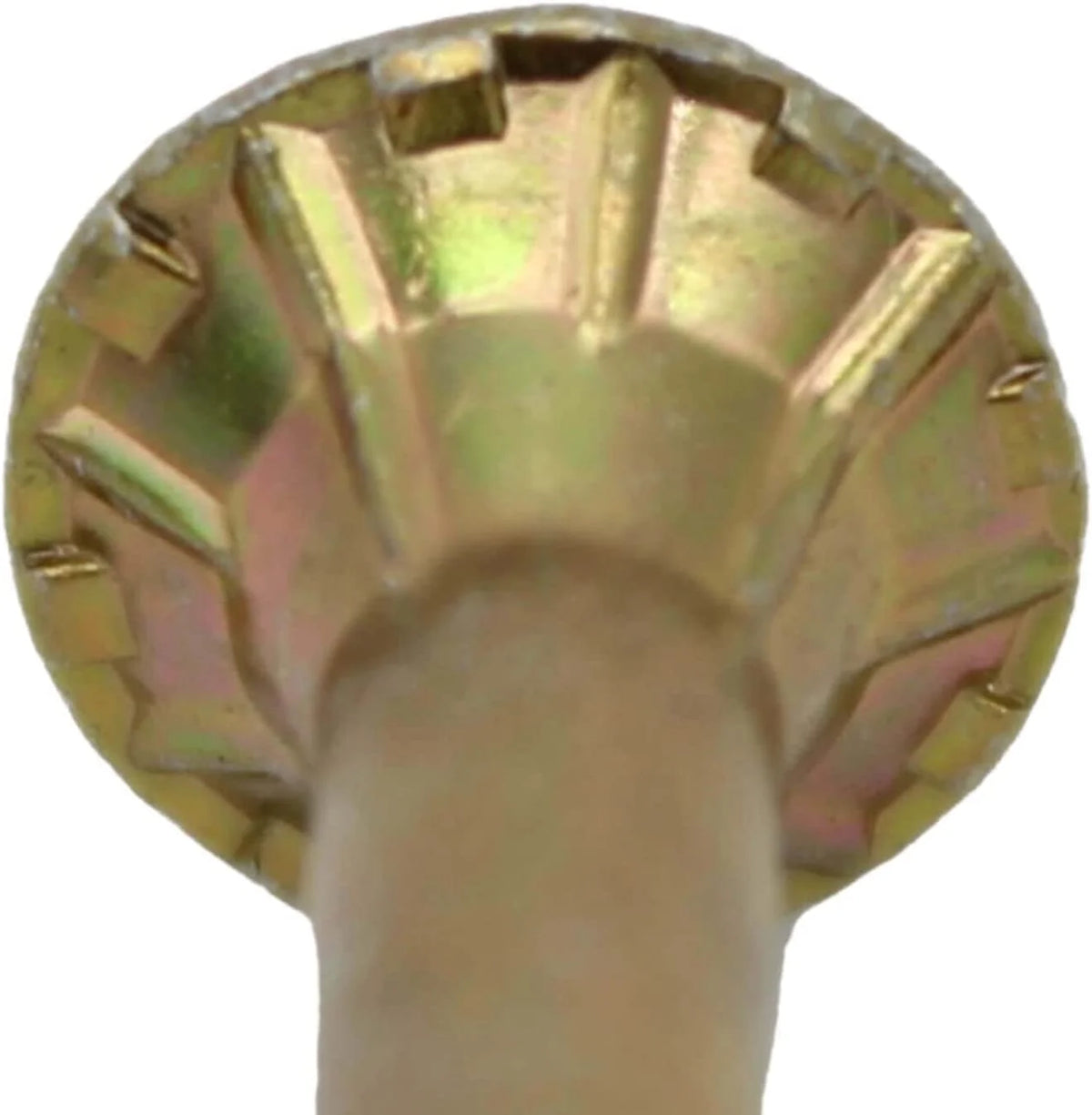 Gold Star Wood Torx/Star Drive Head Multipurpose Wood Screws 6500 Count K24700