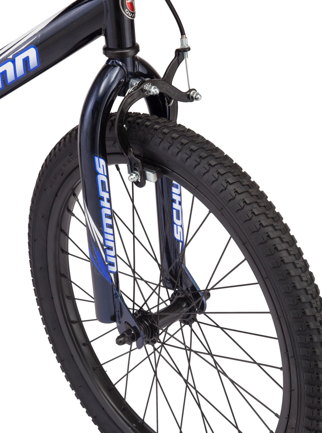 Kids Bicycle, 20 in. Wheels, Blue E522559