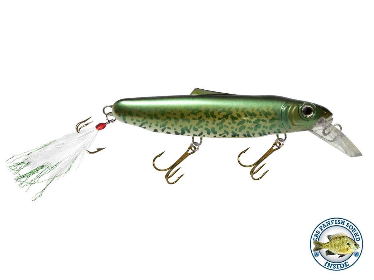 Striker 173 O8866