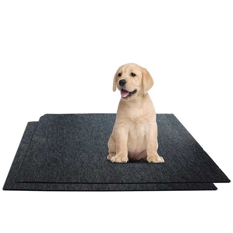 Washable Potty Pads G884572