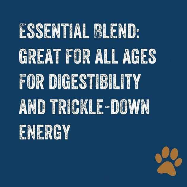 Premium Dog Food T867