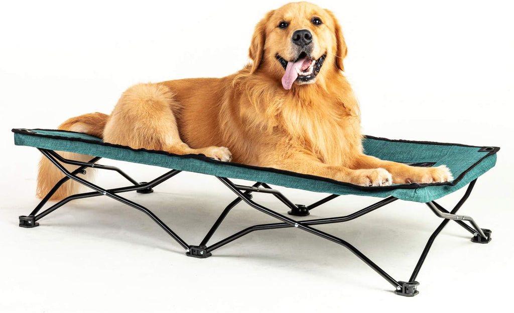 47 inches Large Elevated Dog Bed Cot with Breathable Mesh T69871