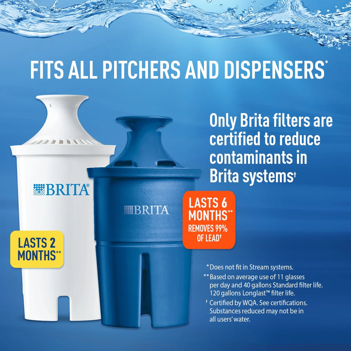 5 Count BPA Free Water Filter Replacements P32531