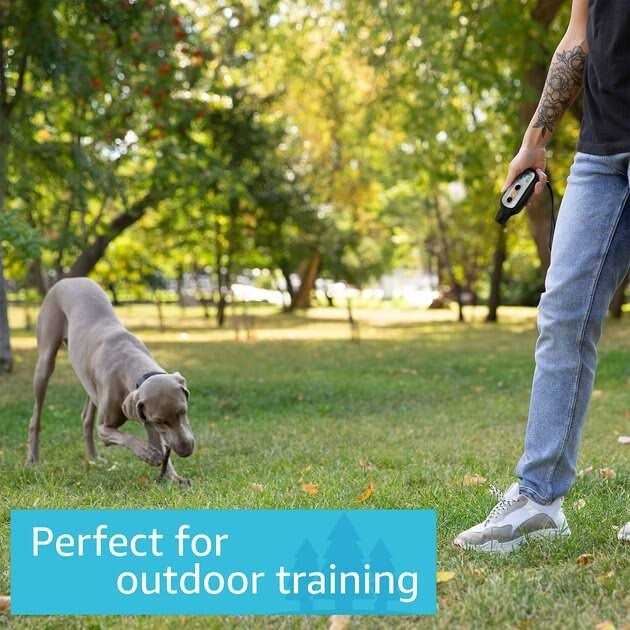 Waterproof Remote Dog Training Collar W315