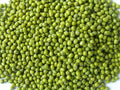 Mung Beans L577752
