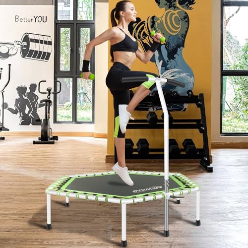 Fitness Trampoline with Adjustable Handle Bar, Max Limit 330 lbs R782