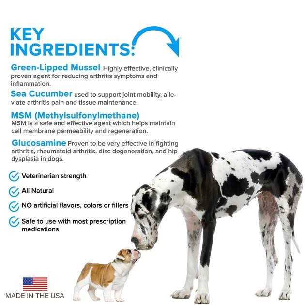 Advanced Hip + Joint Complex with MSM and Green-Lipped Mussel for Dogs F46500