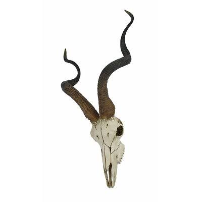 Kudu Antelope Skull Wall Décor D5414