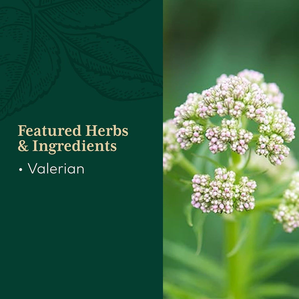 Valerian Root Capsules - 60 Vegan Liquid Phyto-Capsules O873272