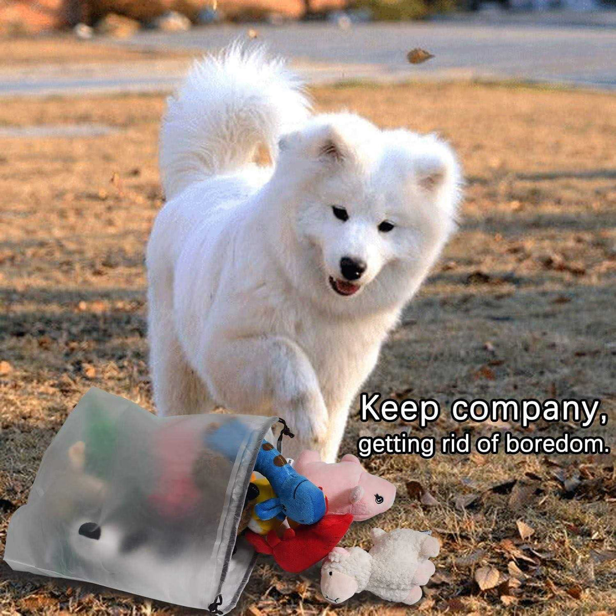12 Dog Toys Bulk with Squeakers F58727
