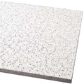 24 in x 24 Ceiling Tile O205