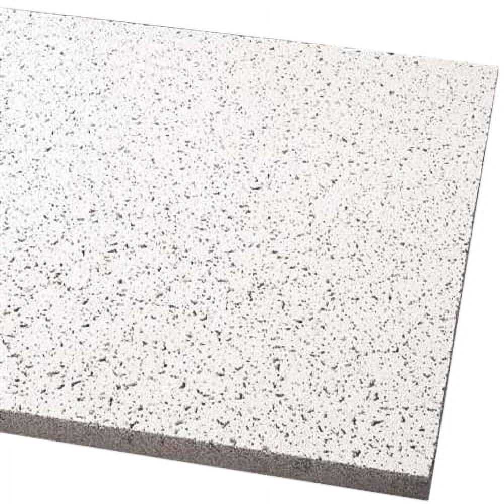 24 in x 24 Ceiling Tile O205
