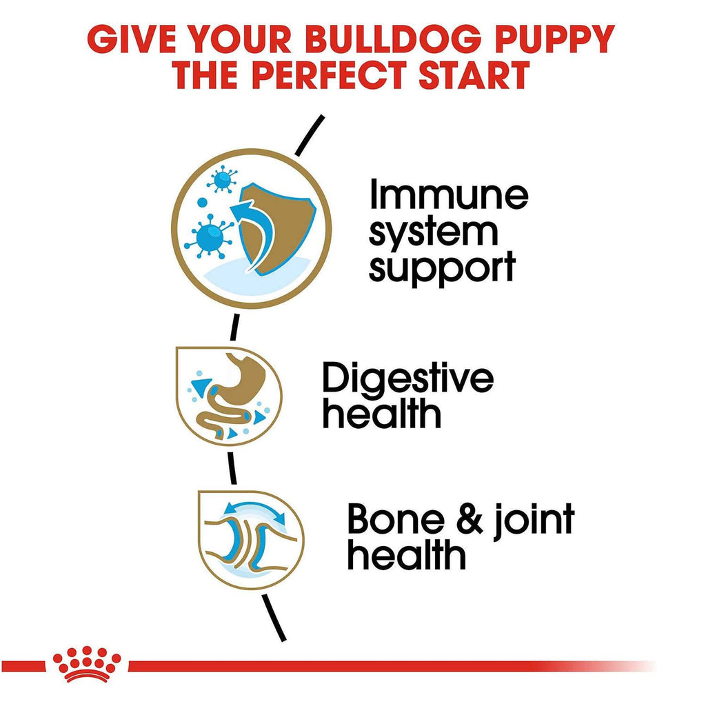 Bulldog Puppy Dry Dog Food K387053