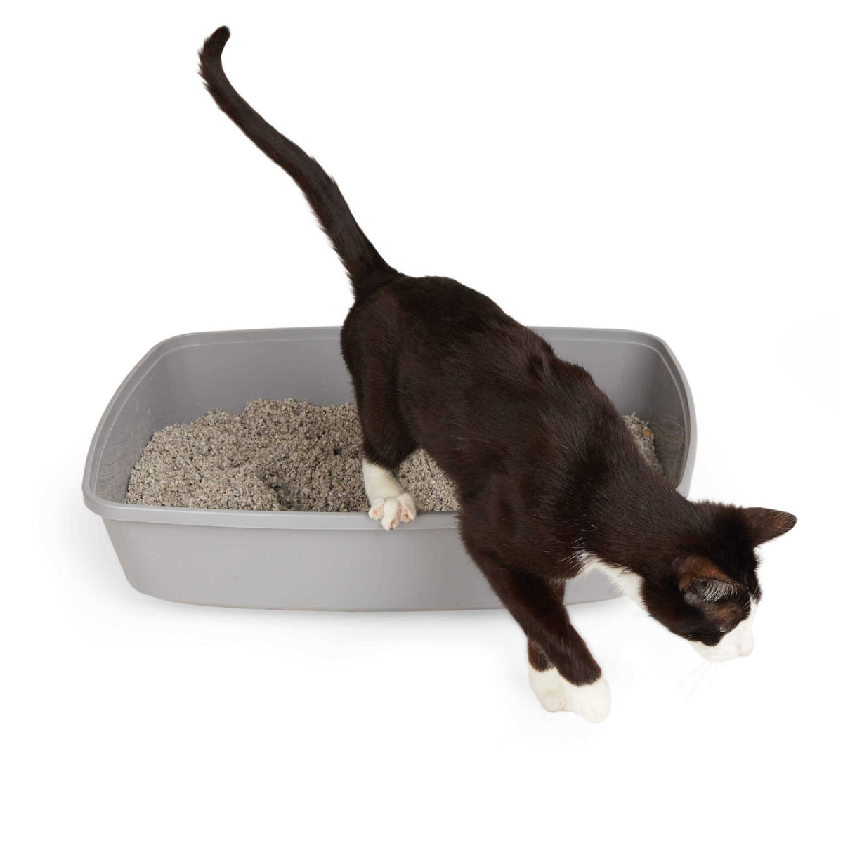 Open Cat Litter Box H619