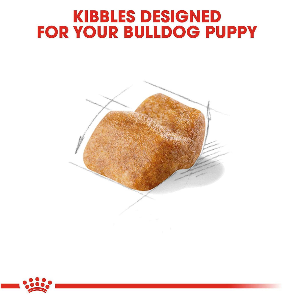 Bulldog Puppy Dry Dog Food K387053