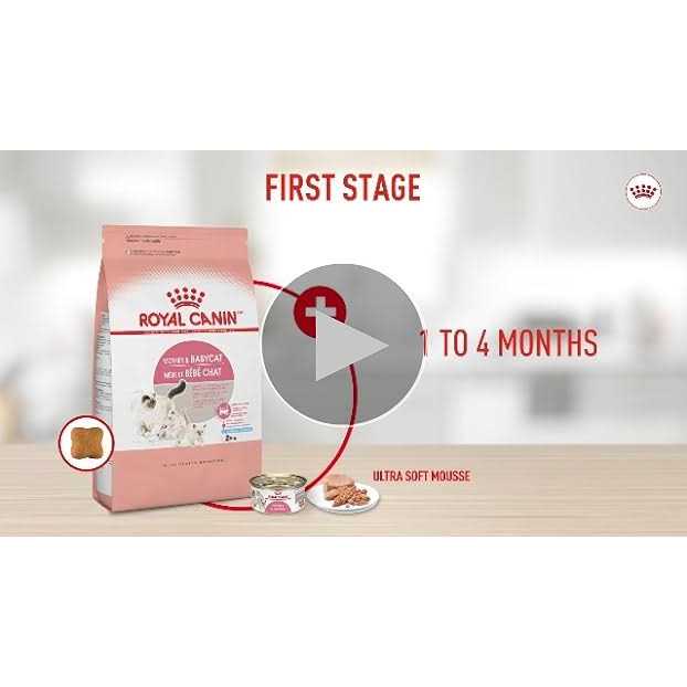 Persian Kitten Dry Cat Food O680
