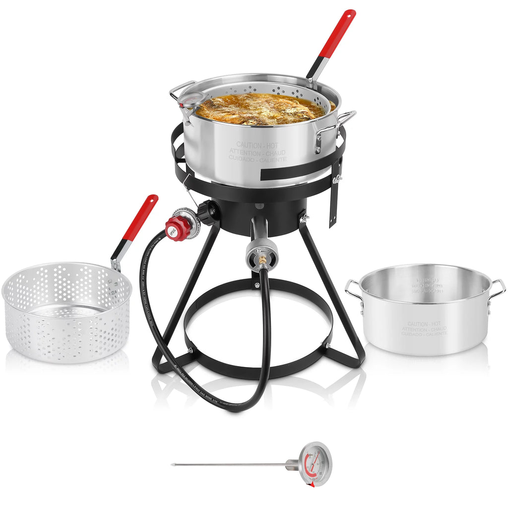 10 Quart Aluminum Propane Outdoor Fish Fryer Set D4826