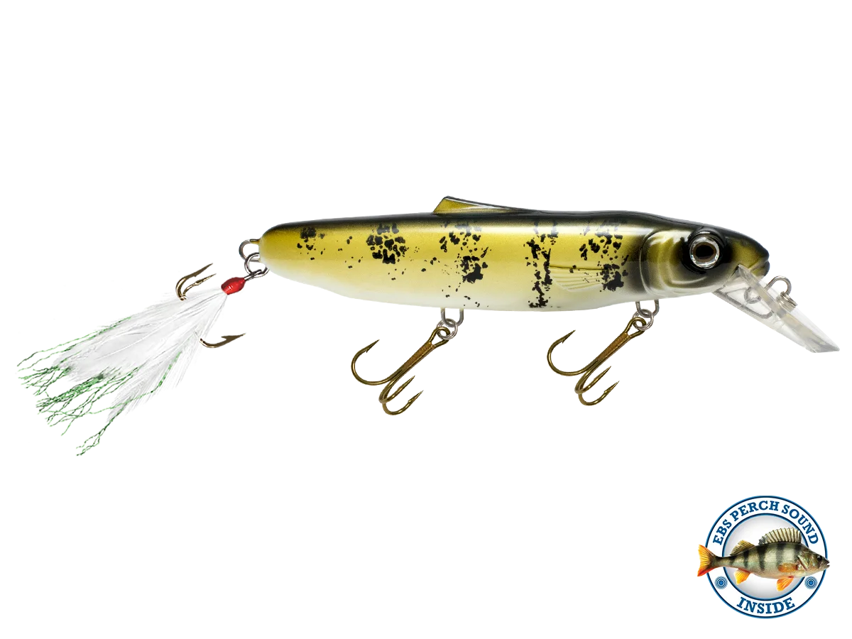 Striker 173 O8866