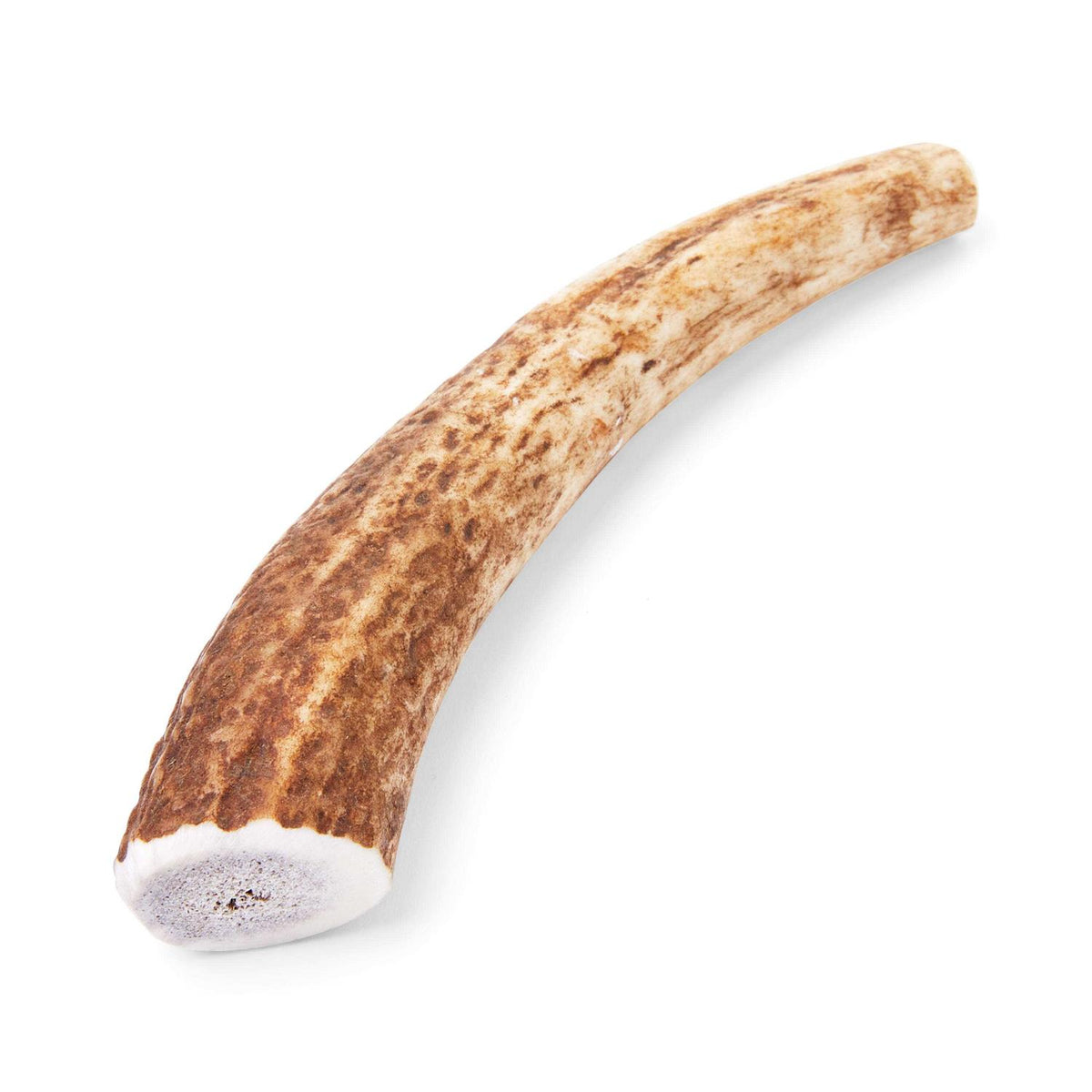 Large Whole Elk Antler Dog Chew M694936