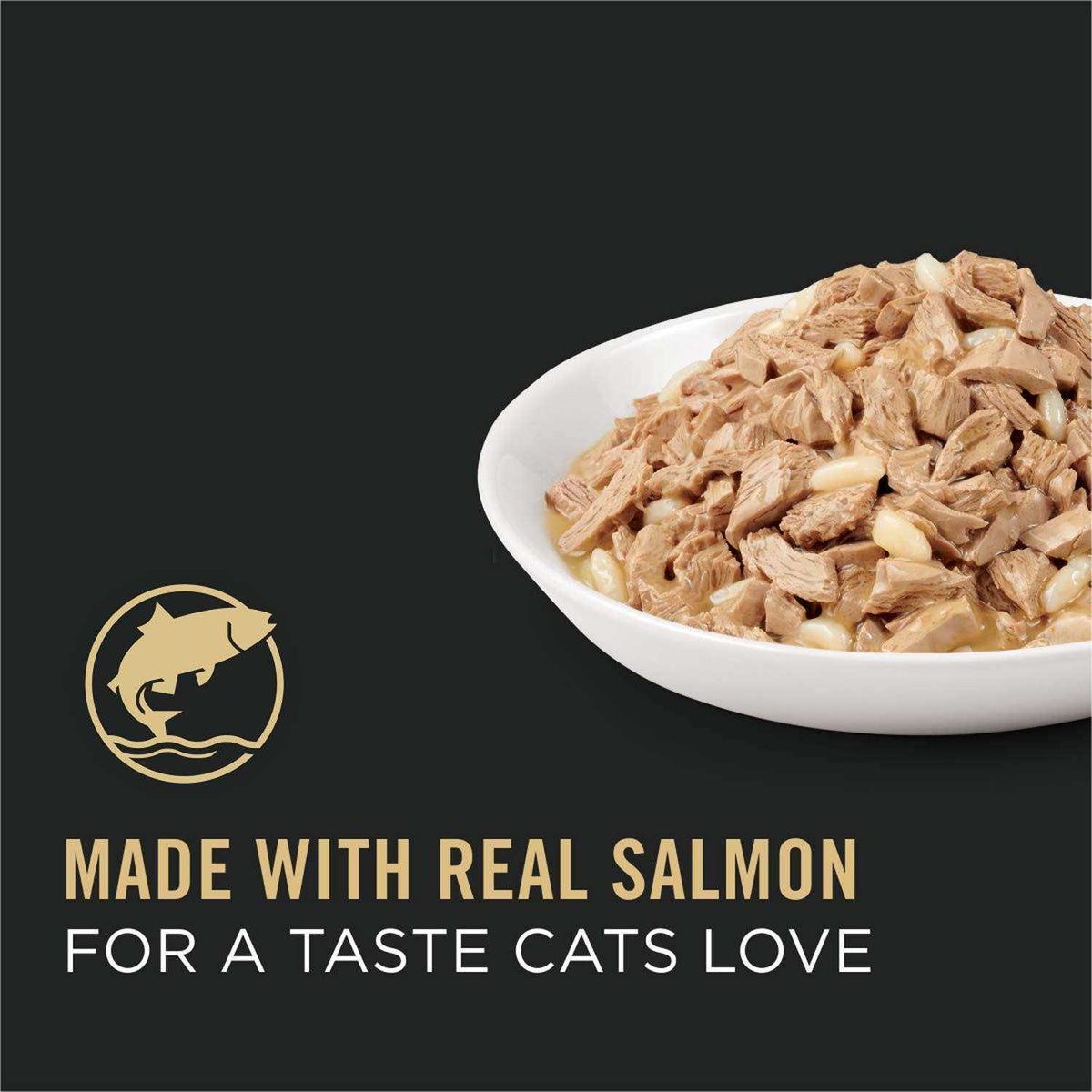 Adult Cat Food Salmon & Rice Entree in Sauce Z102
