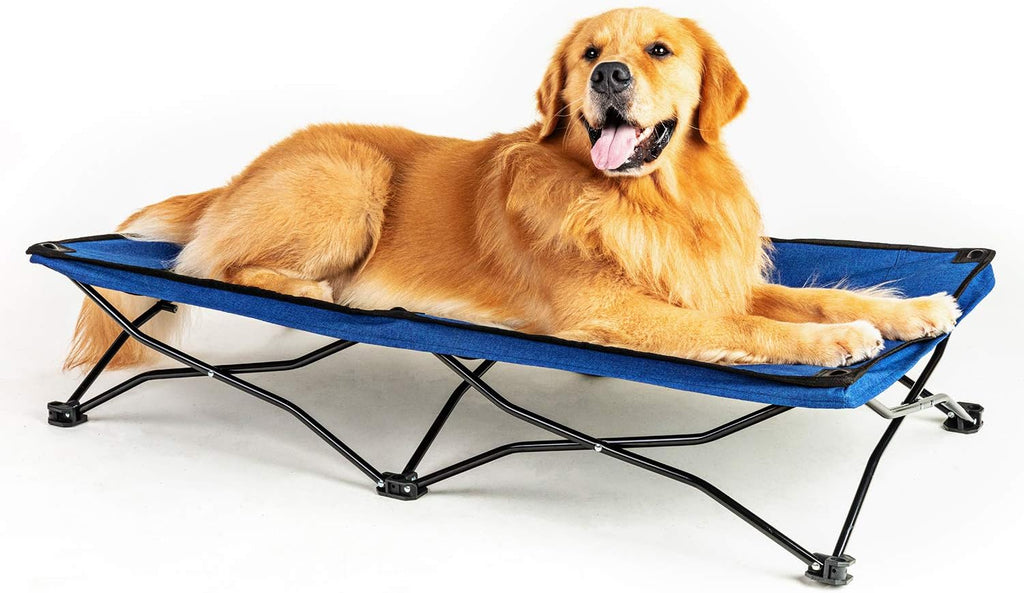 47 inches Large Elevated Dog Bed Cot with Breathable Mesh T69871