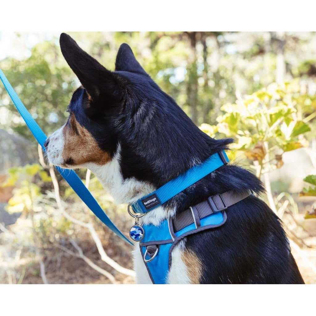 Red Dingo Padded Dog Harness F5325