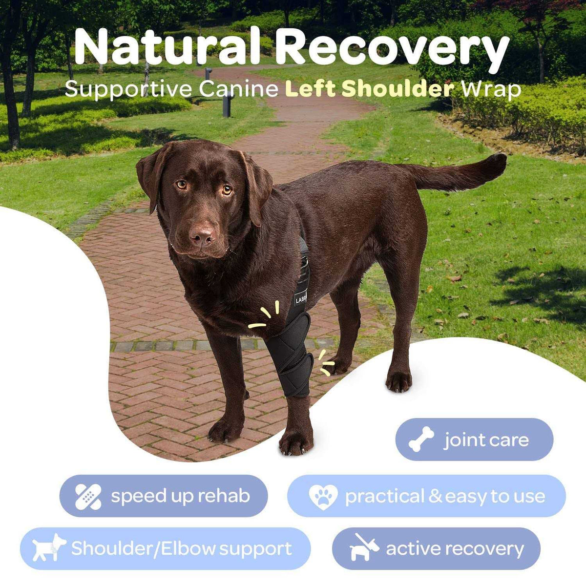 Dog Shoulder Elbow Brace Leg Wrap W1602