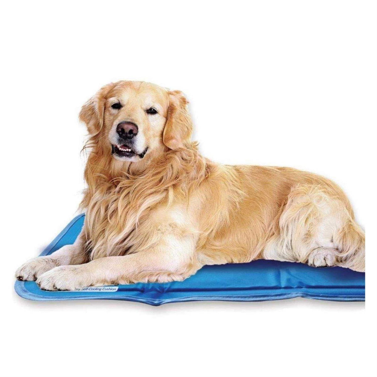 Sage Gray Self Cooling Pet Pad D21693