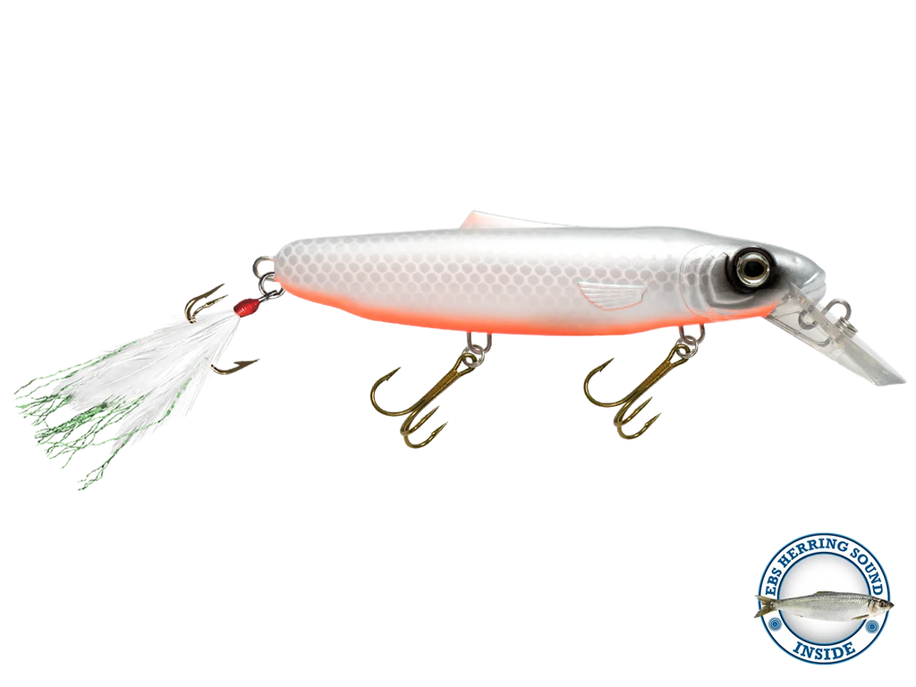 Striker 173 O8866