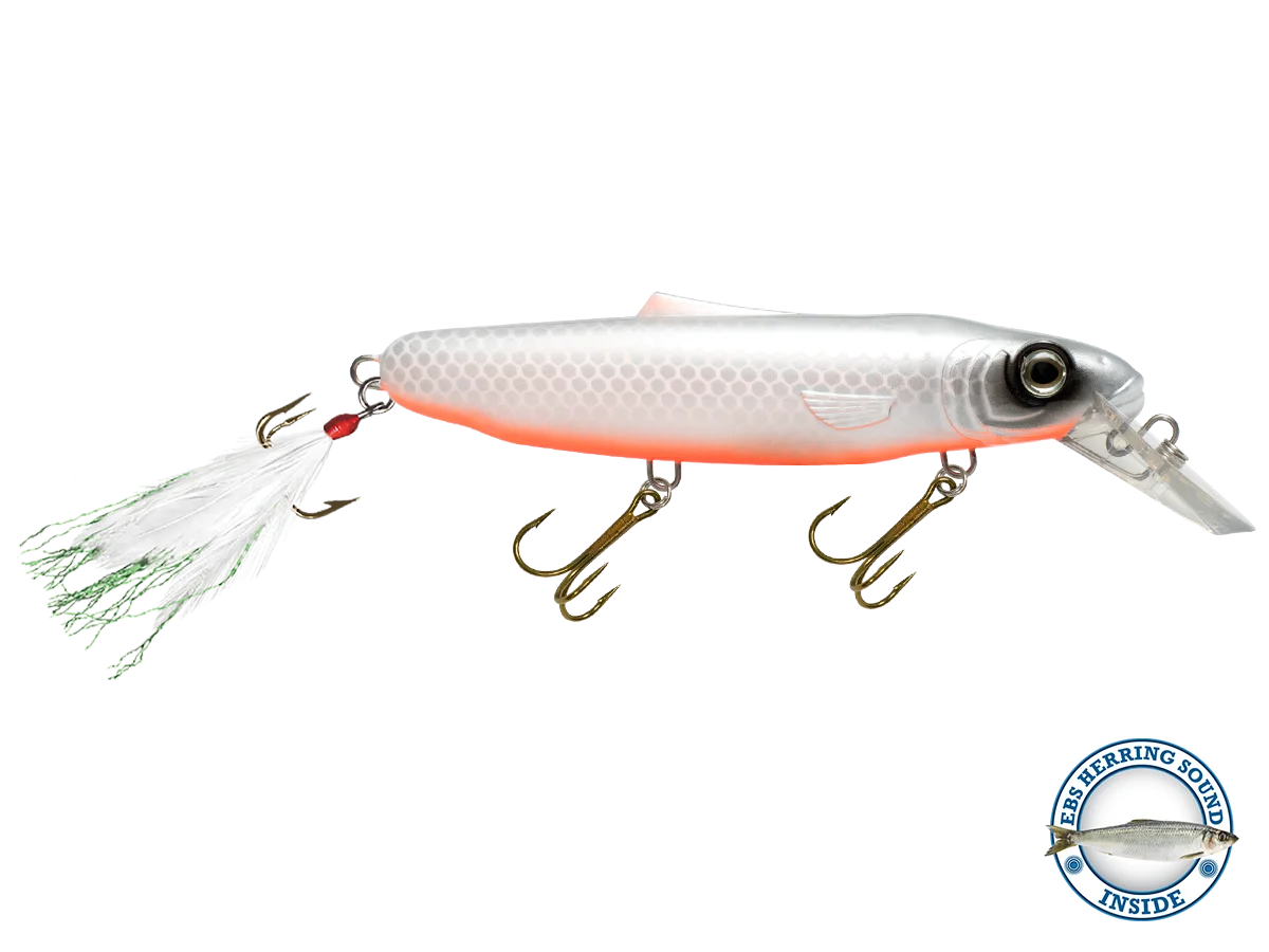Striker 173 O8866