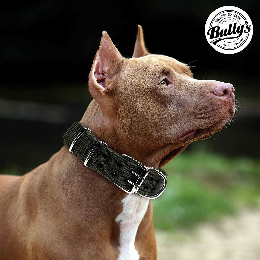Dog Collar for Large Dogs I73216