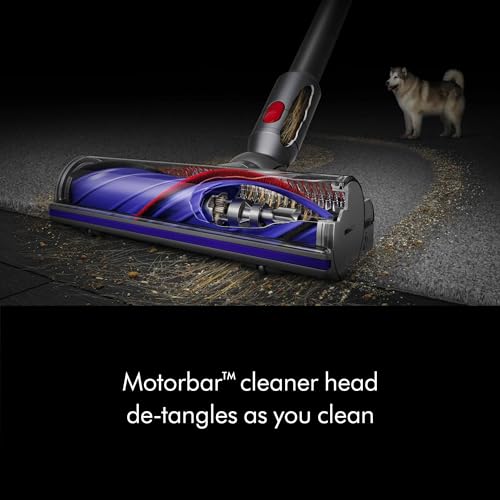 Cordless Vacuum Cleaner P47573