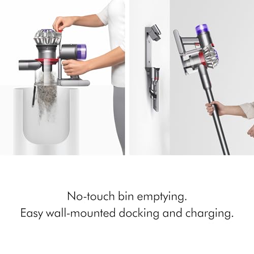 Cordless Vacuum Cleaner P47573