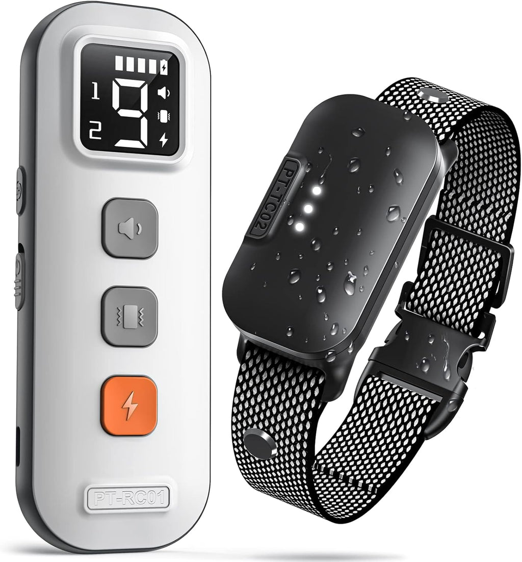 Waterproof Dog Training Collar with Remote, Pack of 2 W957600
